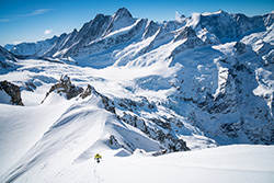 Wetterhorn 3692m Wetterhorn 3692m