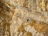 Churfirsten Schnürliweg