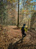 Churfirsten Schnürliweg