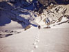 Eiger Westflanke