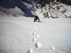 Eiger Westflanke