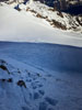 Gwächtenhorn, Sustenhorn, Vorder Tierberg