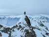 Skisafari Hoch Ducan Piz Kesch