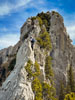 Pilatus Kulmchrachen