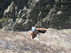 Petit Clocher du Portalet