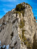 Pilatus Kulmchrachen & Ruessiflue