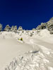 Roggenstock Season Opener
