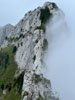 Ruessiflue Esel Pilatus