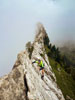 Ruessiflue Esel Pilatus