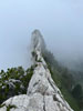 Ruessiflue Esel Pilatus