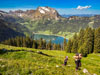 Schiberg