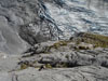 Wellhorn Gletschersinfonie
