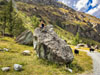 Bouldern in Zinal